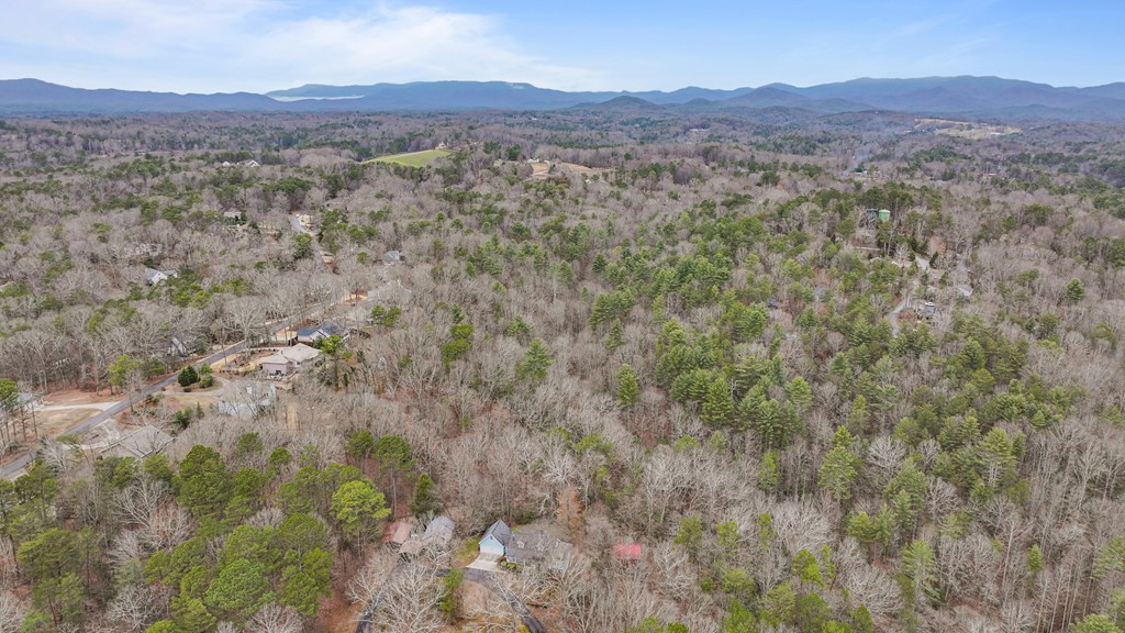431637 Ellijay
 Land