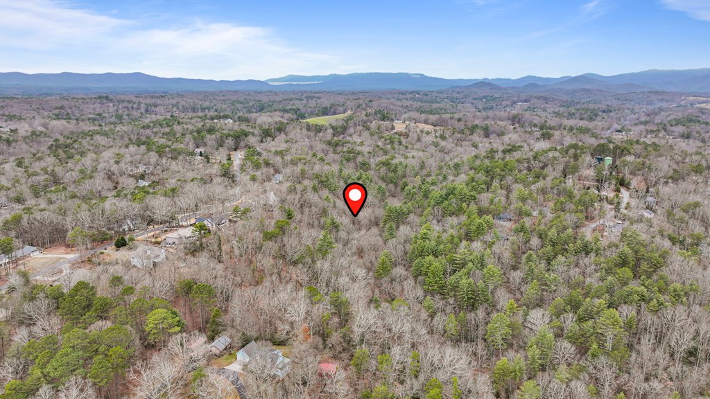 431637 Ellijay
 Land