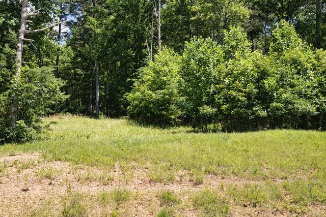 431638 Blairsville
 Land