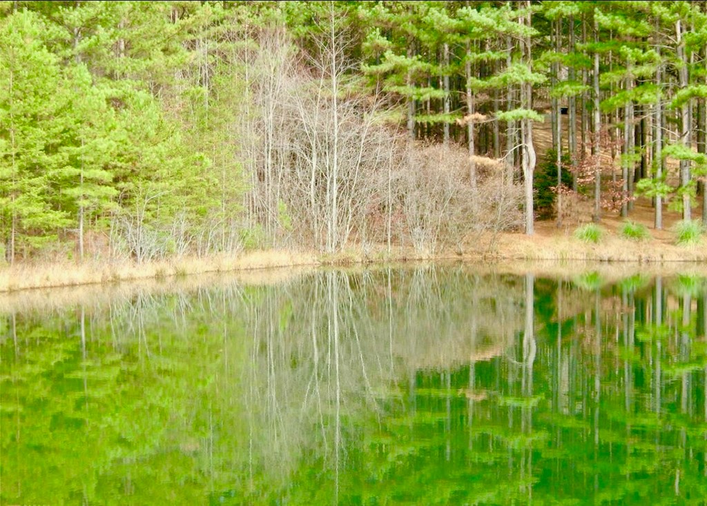 431640 Clarkesville
 Land