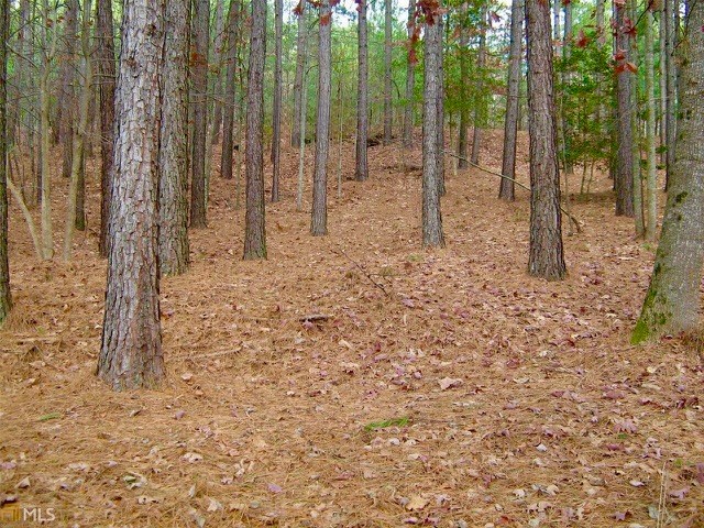 431640 Clarkesville
 Land