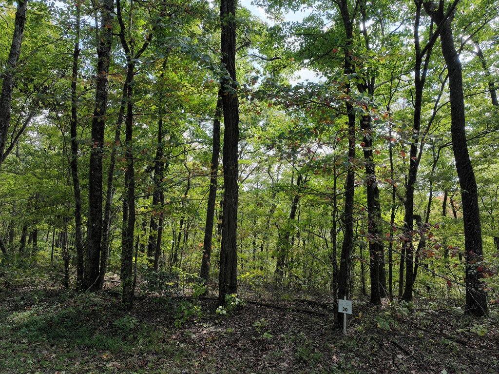 431643 Jasper
 Land