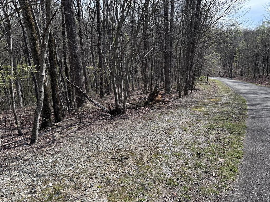 431649  Land