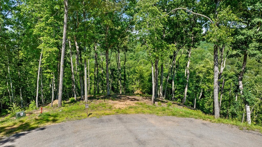 431651 Mineral Bluff
 Land