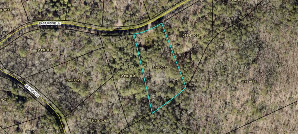 431655 Ellijay Active