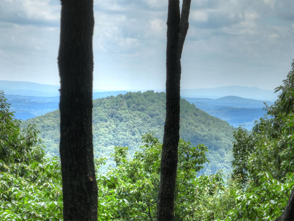 431666 Ellijay Active