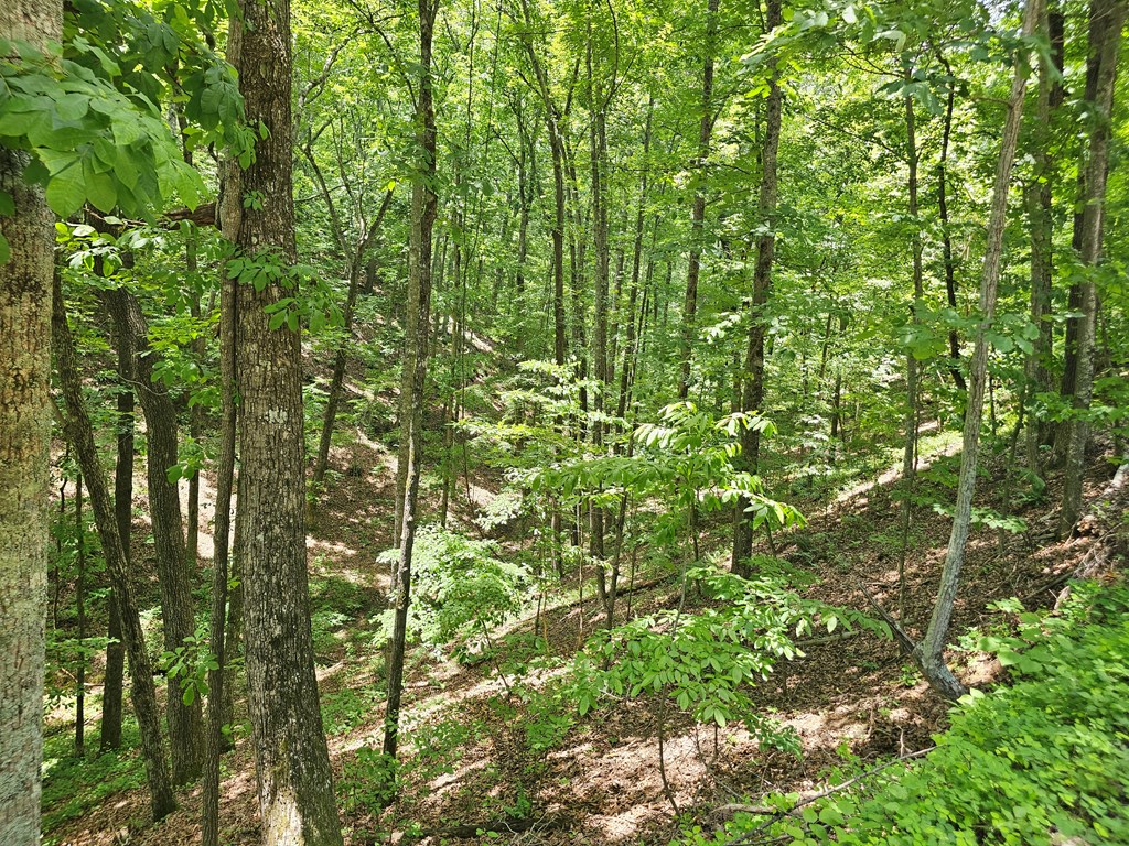 431675 Ranger
 Land
