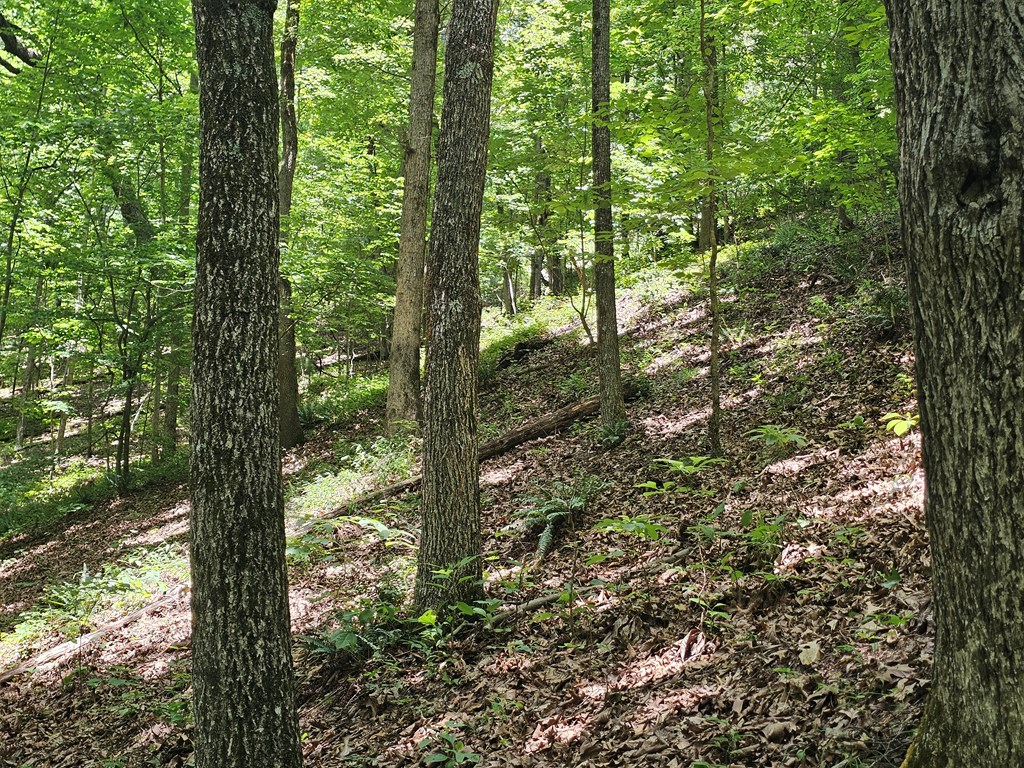431675 Ranger
 Land