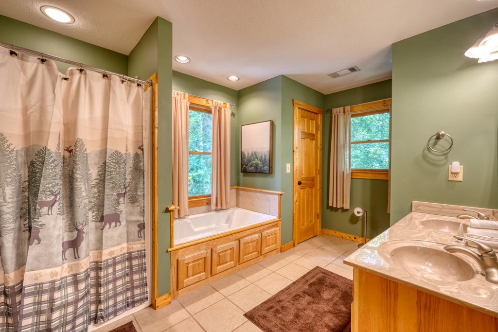 431677 Ellijay Active