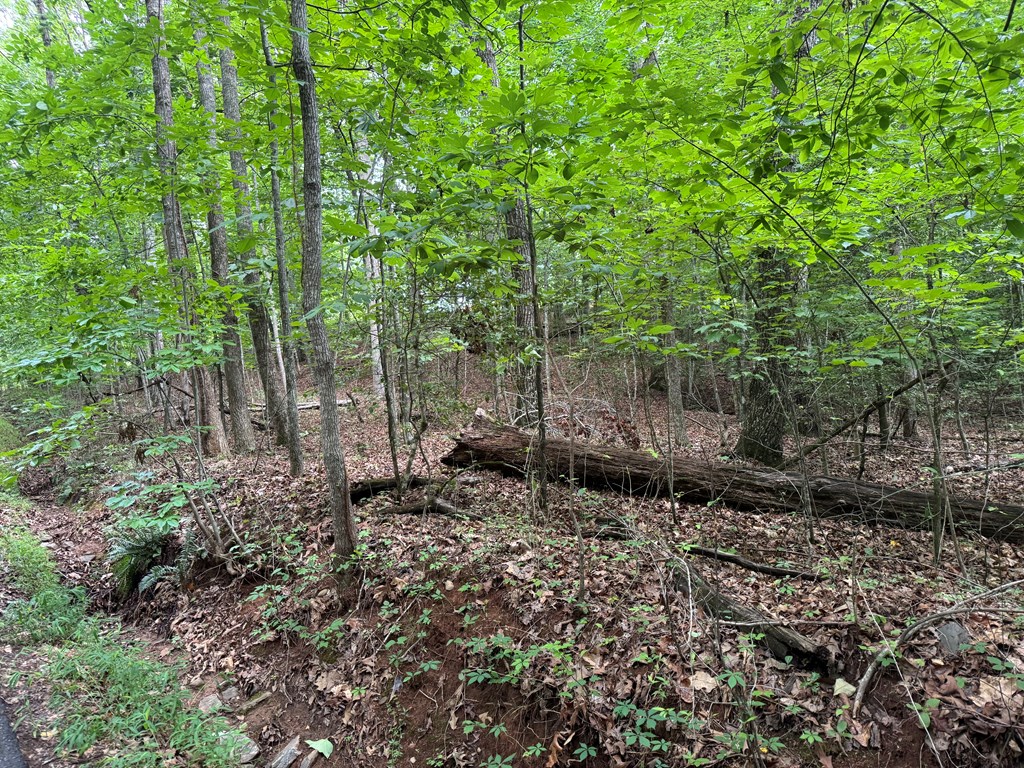 431679 Hayesville
 Land