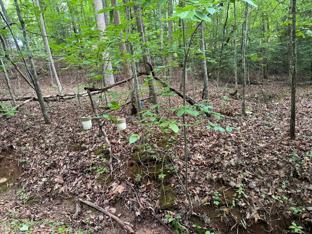 431679 Hayesville
 Land