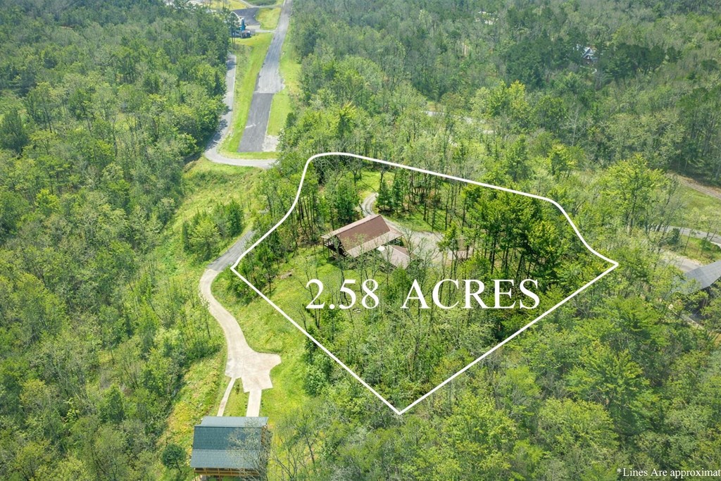 431682 Blue Ridge Active