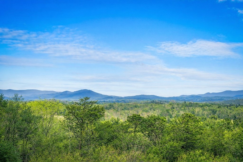431682 Blue Ridge Active