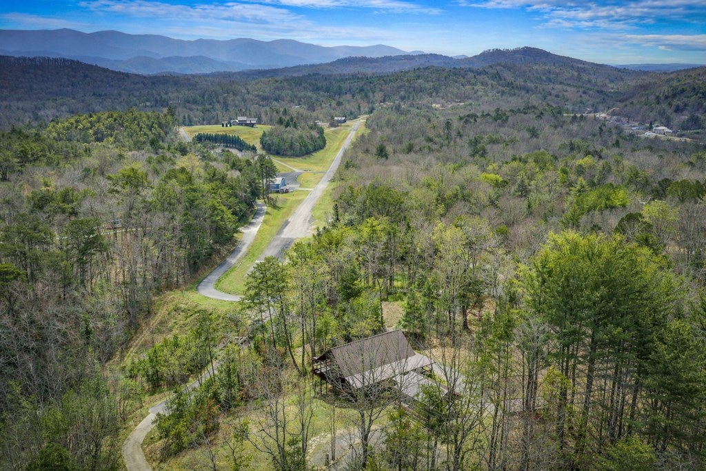 431682 Blue Ridge Active