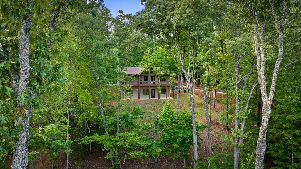 431691 Mineral Bluff Active