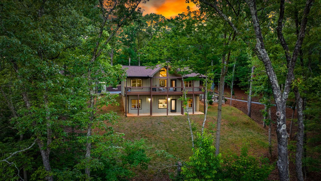 431691 Mineral Bluff Active