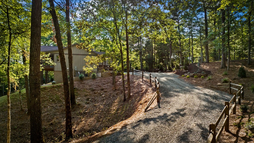 431691 Mineral Bluff Active
