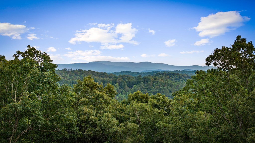 431691 Mineral Bluff Active