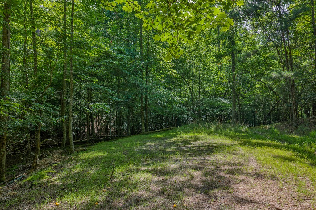 431697 Ellijay
 Land