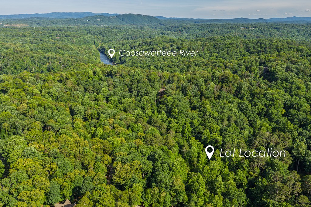431697 Ellijay
 Land