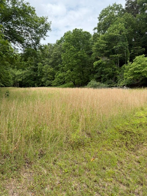 431704 Hayesville
 Land