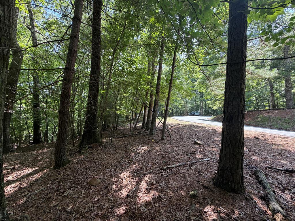 431708  Land