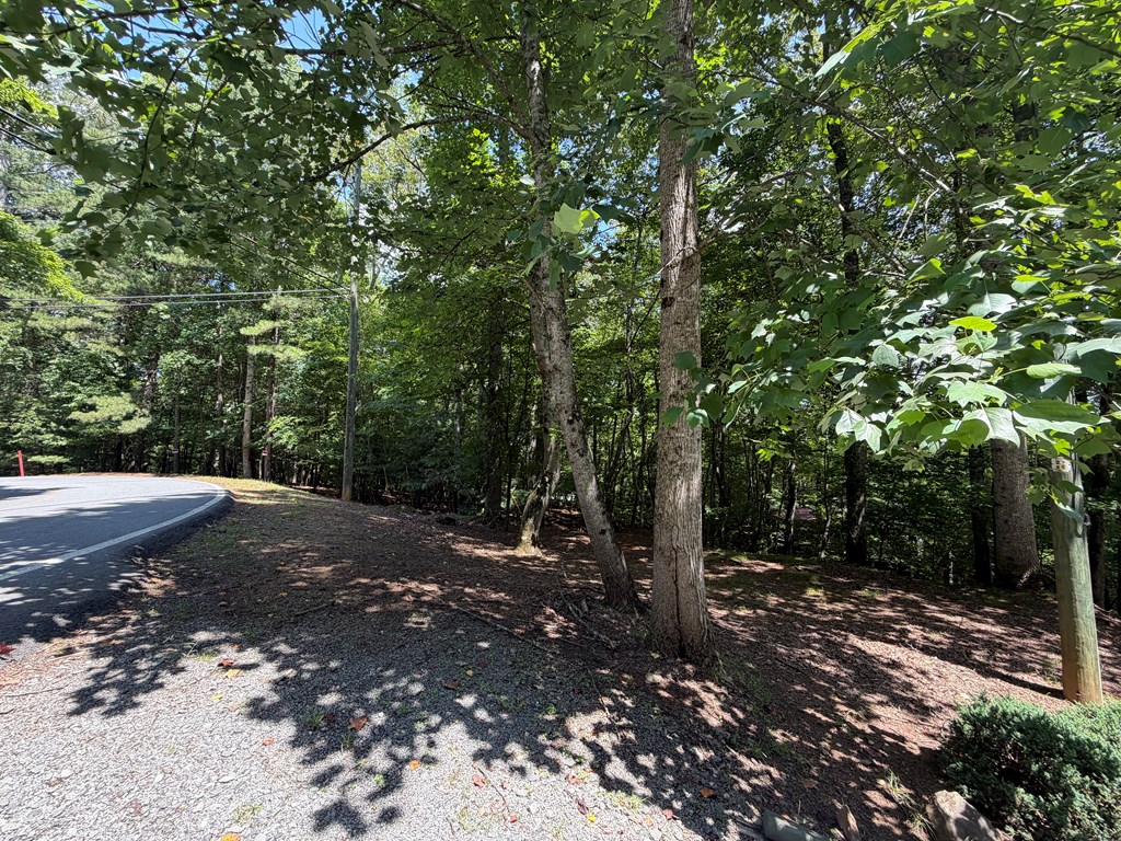 431708 Ellijay
 Land