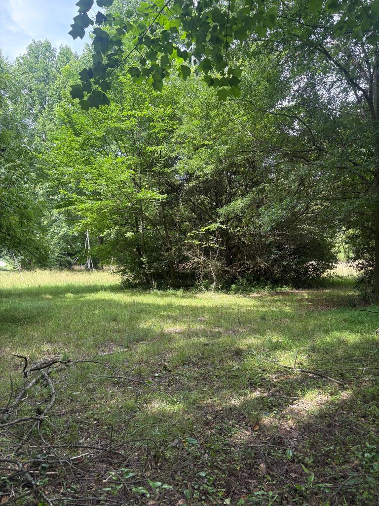 431710  Land
