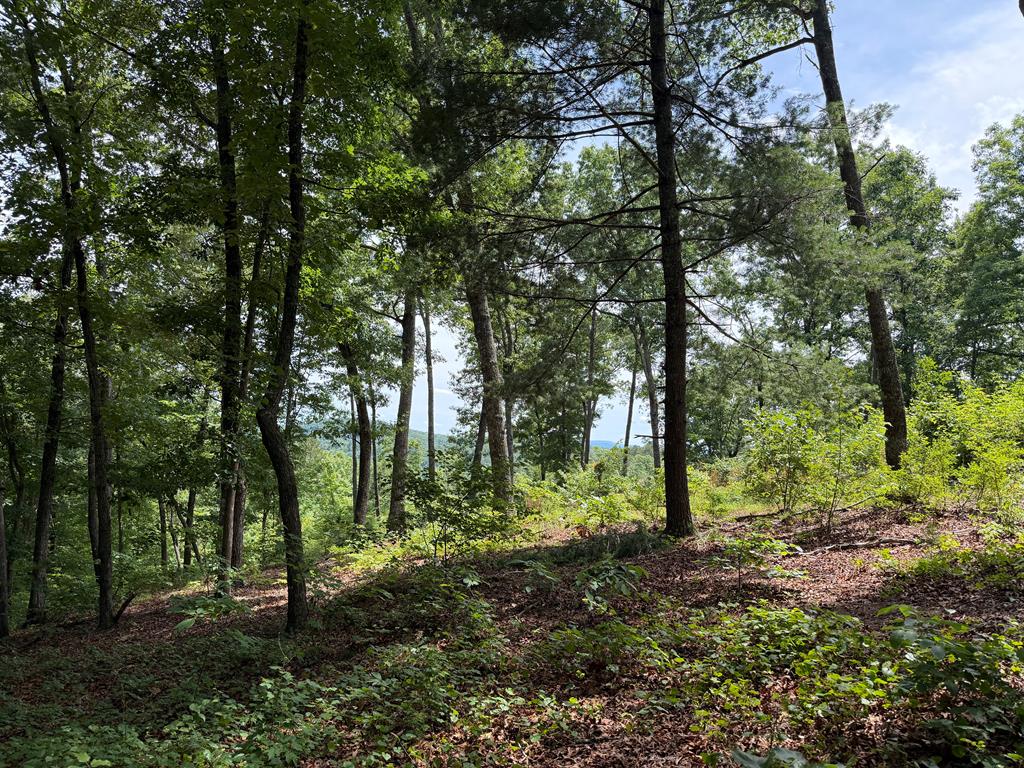 431711  Land
