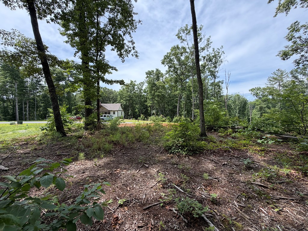 431711 Ellijay
 Land