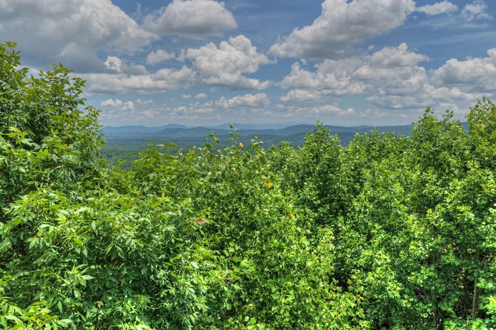 431713 Mineral Bluff
 Land