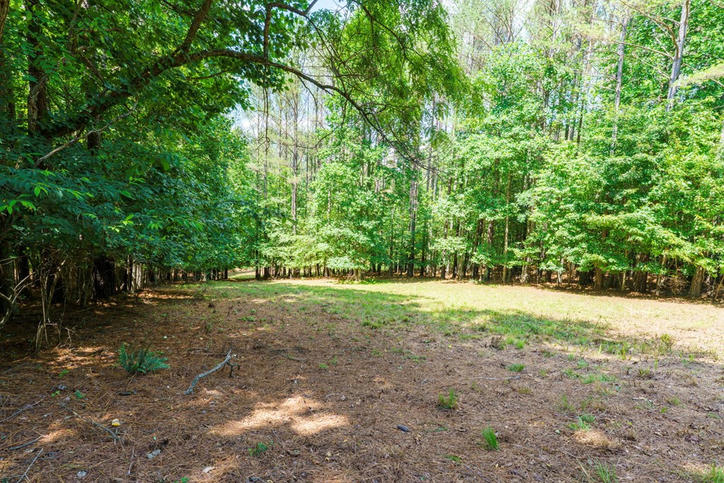 432729 Blairsville
 Land
