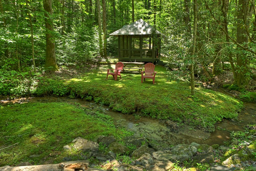 432740 Ellijay Active