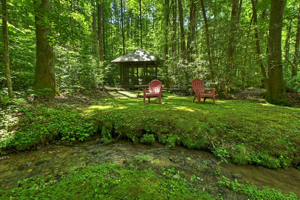 432740 Ellijay Active
