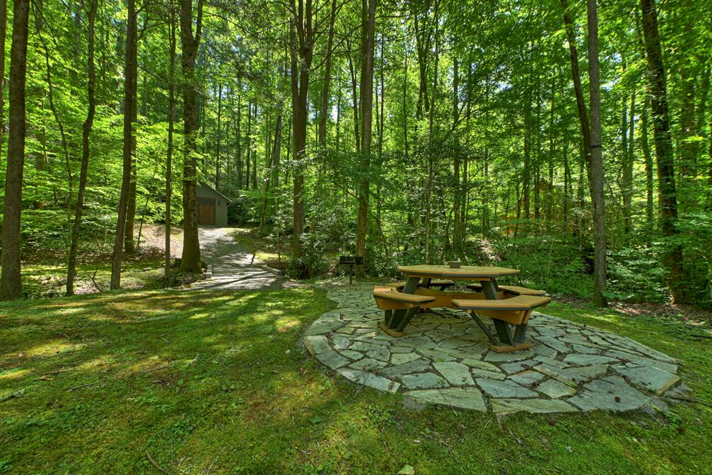 432740 Ellijay Active
