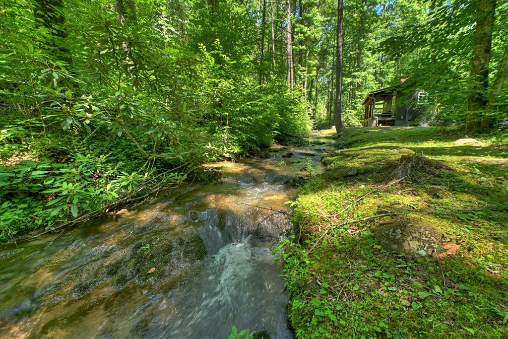 432740 Ellijay Active