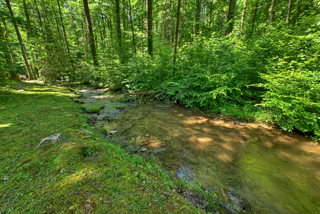 432740 Ellijay Active