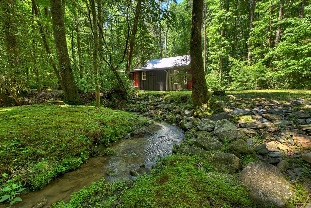 432740 Ellijay Active