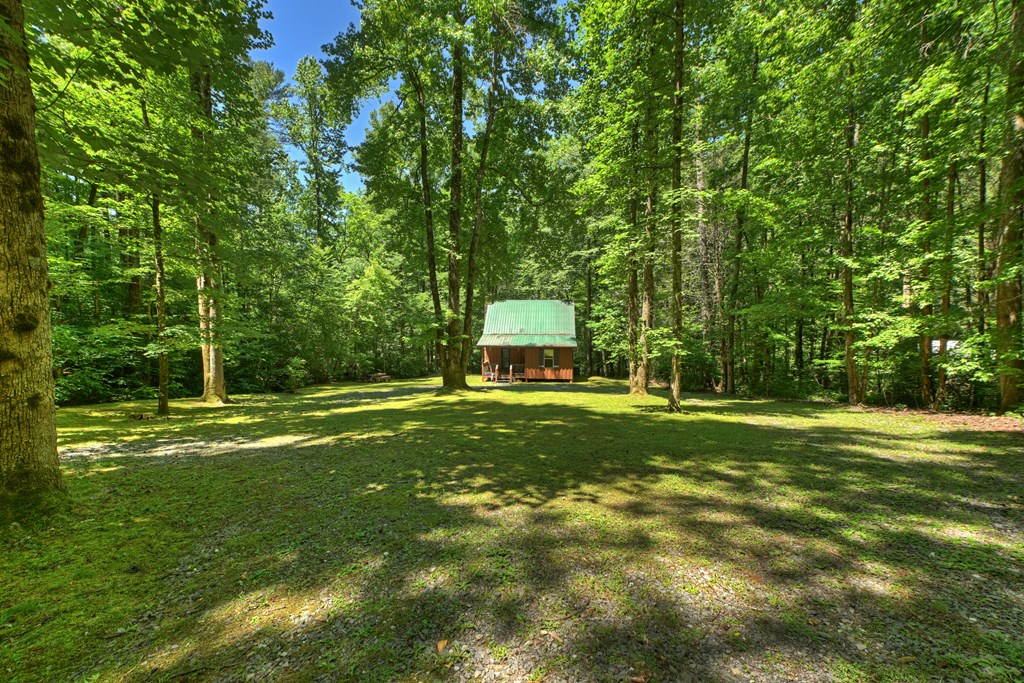 432741 Ellijay Active