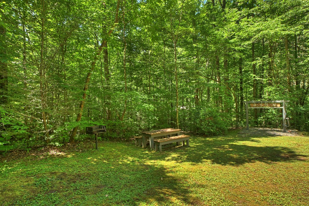 432741 Ellijay Active