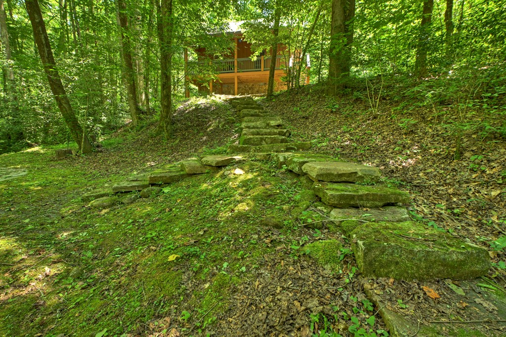432741 Ellijay Active