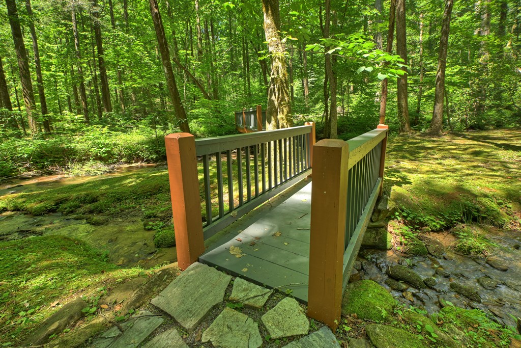 432741 Ellijay Active