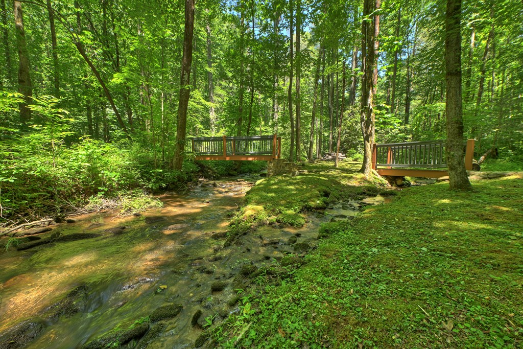 432741 Ellijay Active