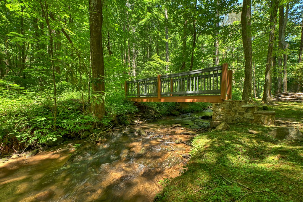 432741 Ellijay Active