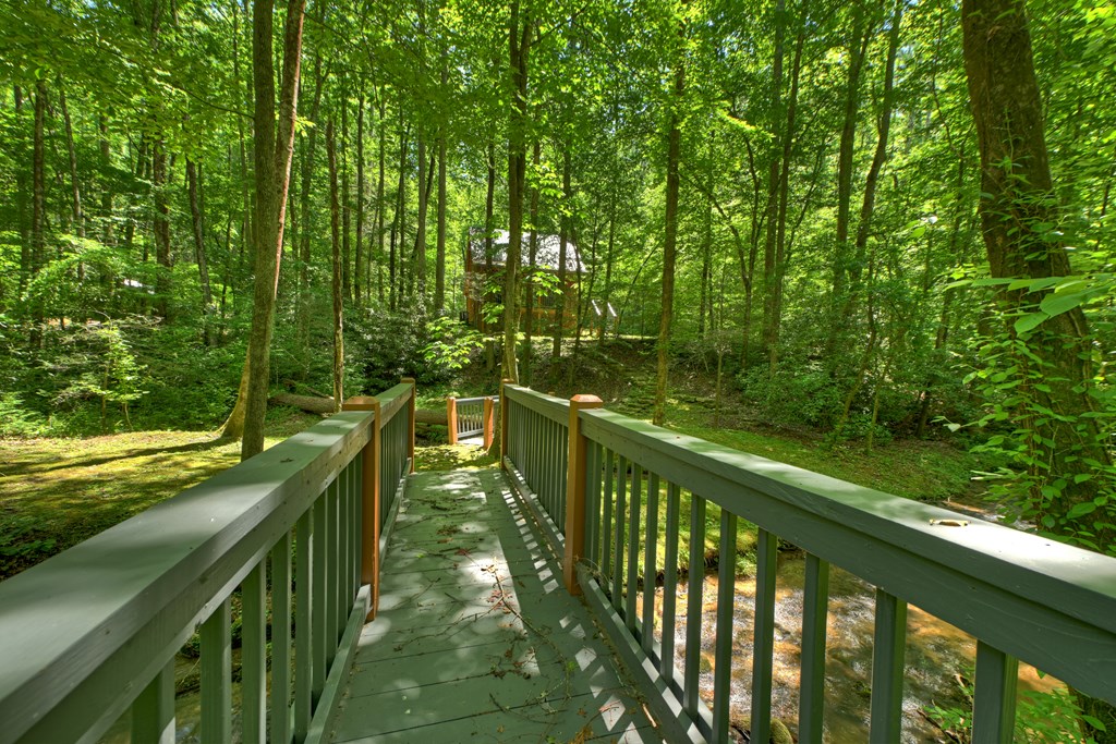 432741 Ellijay Active
