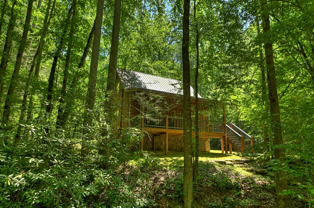 432741 Ellijay Active