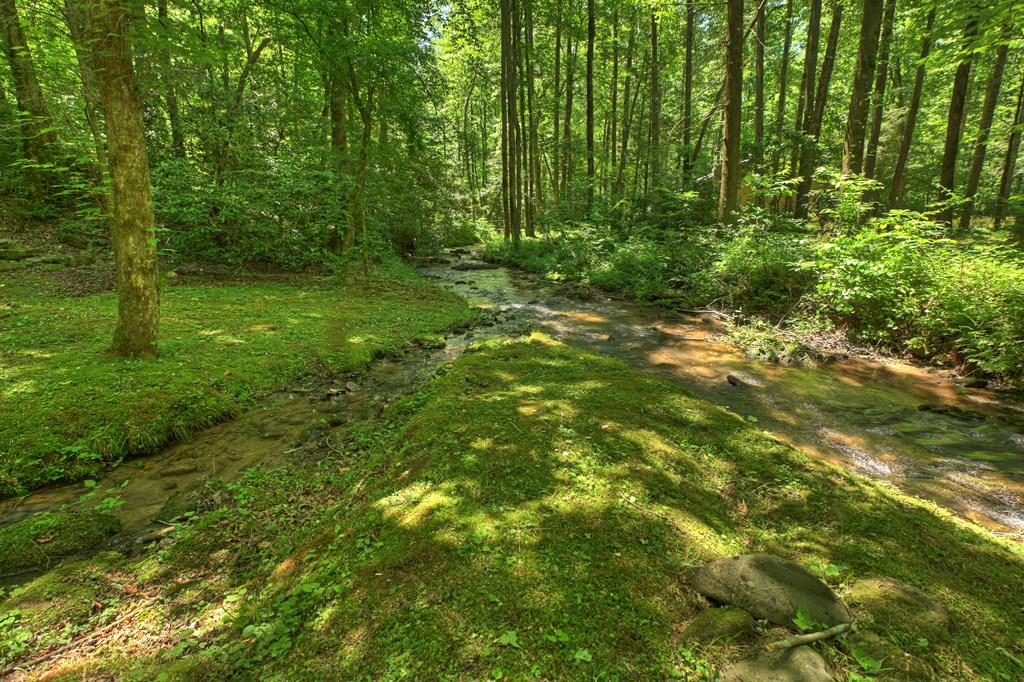 432741 Ellijay Active