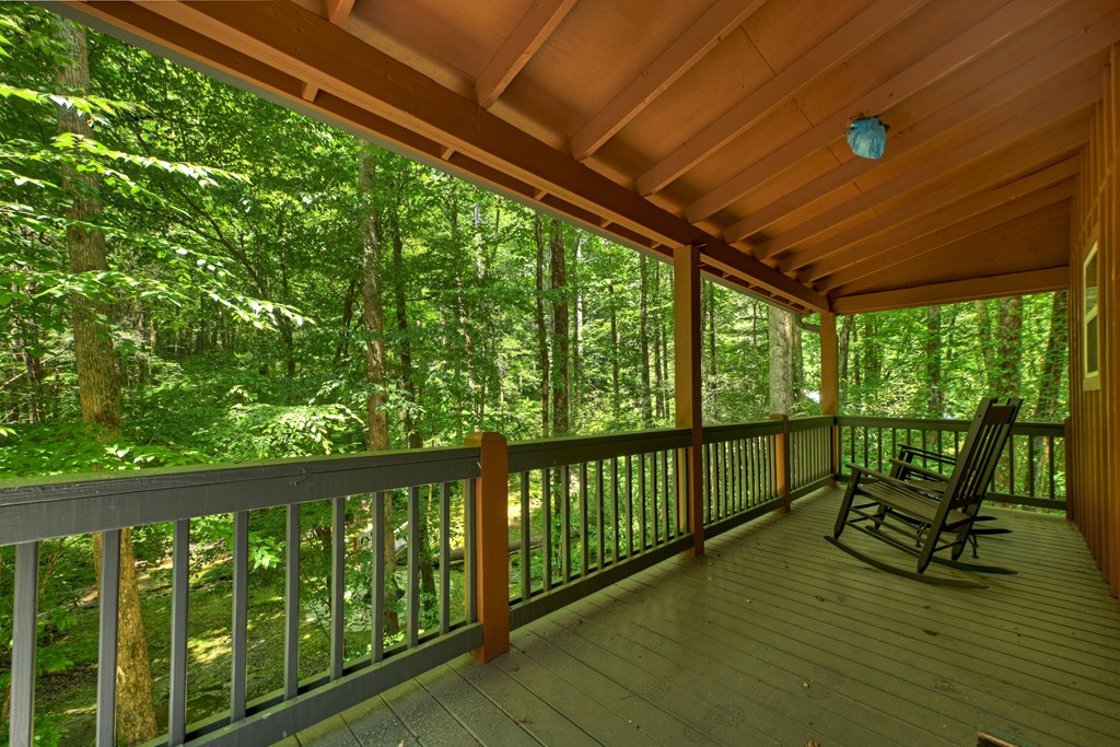 432741 Ellijay Active