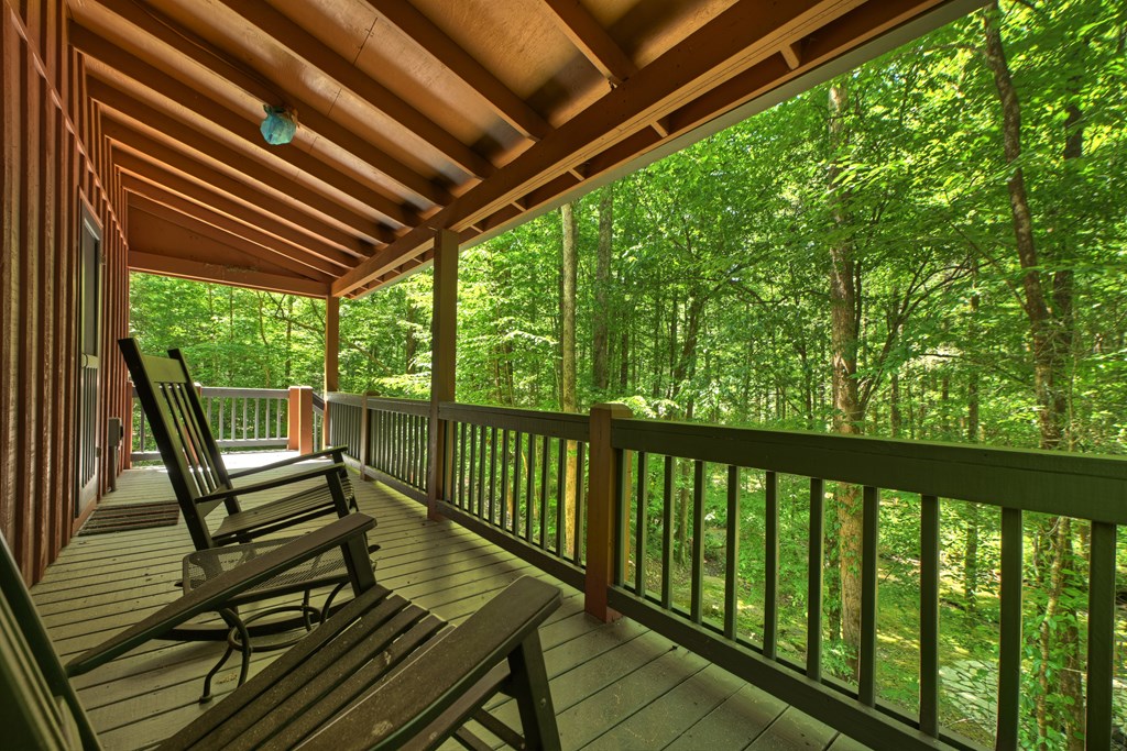 432741 Ellijay Active
