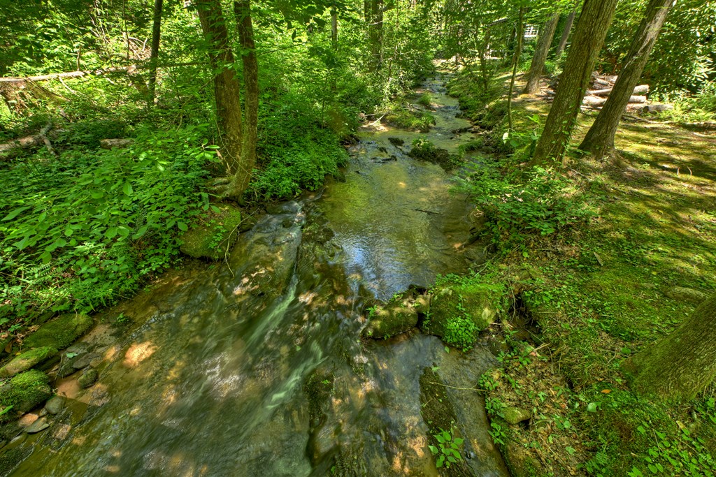 432741 Ellijay Active